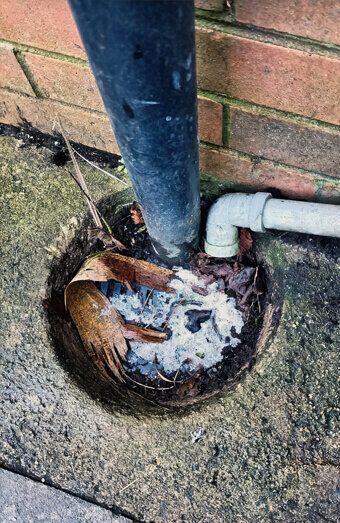 https://plumberleeming.com.au/uploads/2025/06/blocked-drains-294506.jpg