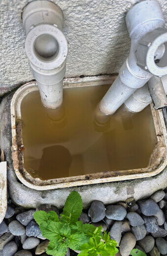 https://plumberleeming.com.au/uploads/2025/06/blocked-drains-912576.jpg